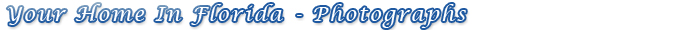 Page Header